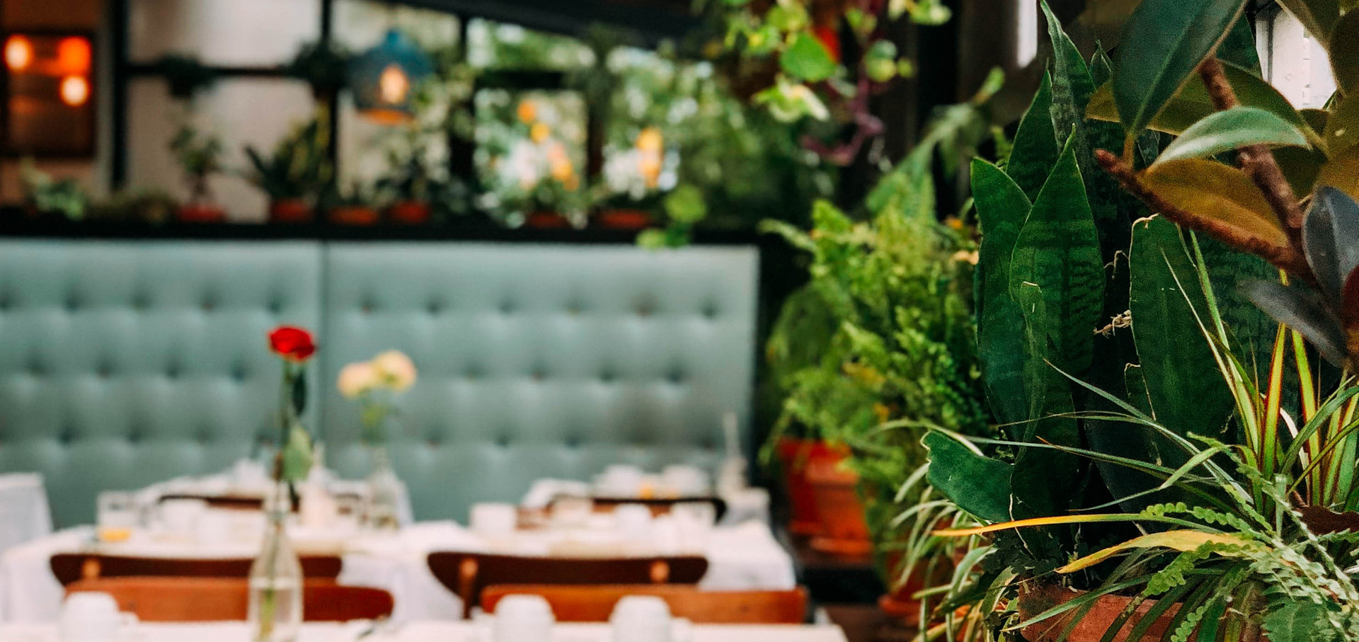 restaurant-2958x1398